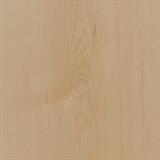 Hard Maple